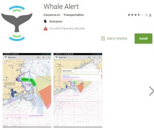 Whale Alert App